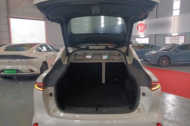 Used IM LS6 2023 Max Standard Edition
