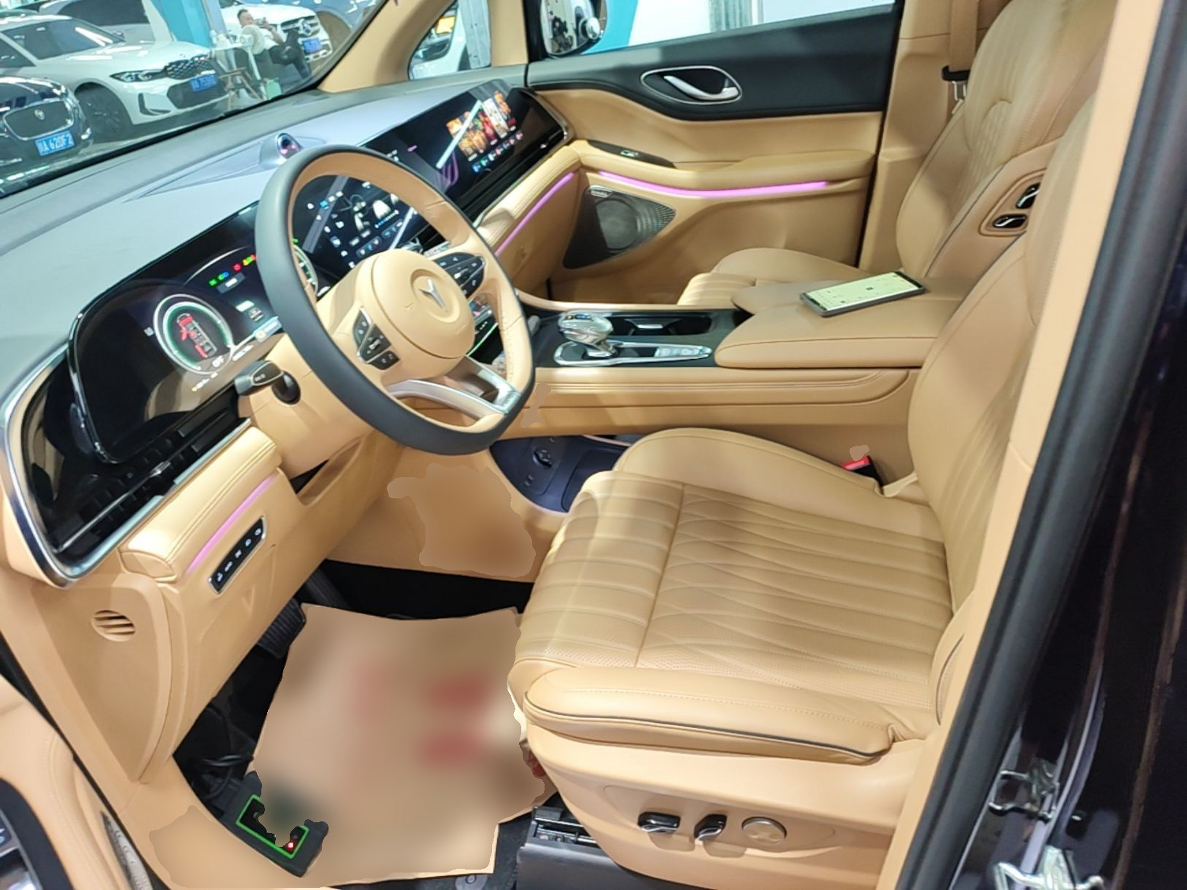 Interior delantero