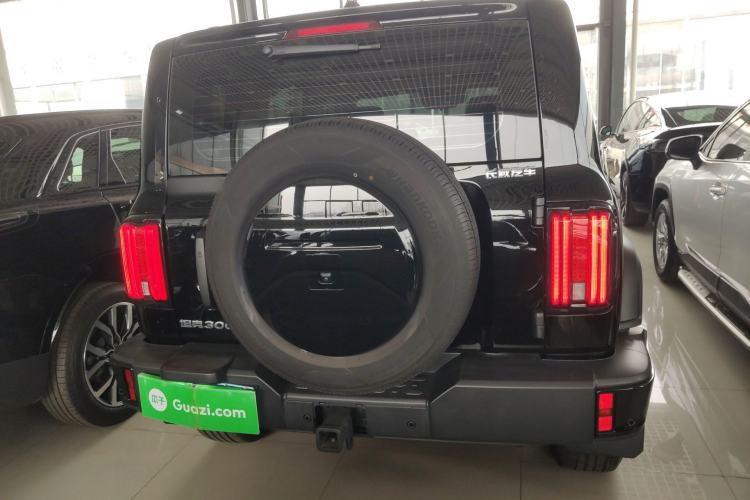 Used Tank 300 2024 2.0T Conqueror