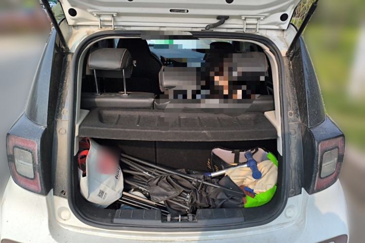 Used SOL E10X 2022 Flower Fairy Design Four-Leaf Clover