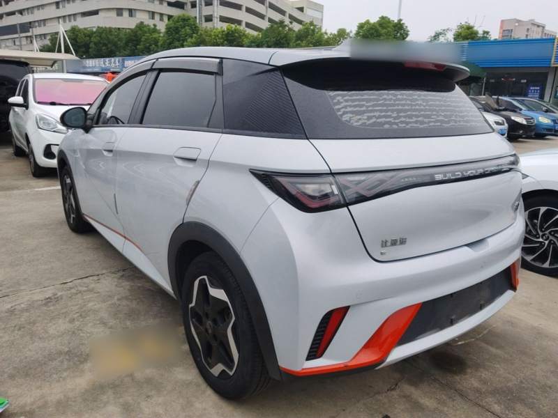 Used BYD Dolphin 2021 405 km Fashion Edition — 4