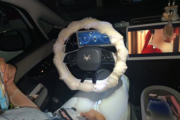 Used ARCFOX Kaola 2024 Family Edition AIR
