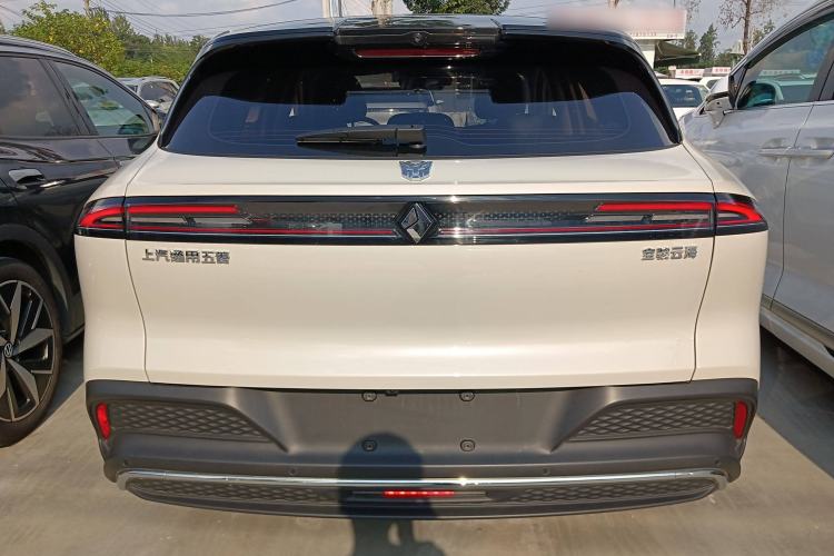 Used Baojun Yunhai 2024 600km Pure Electric Version Rear