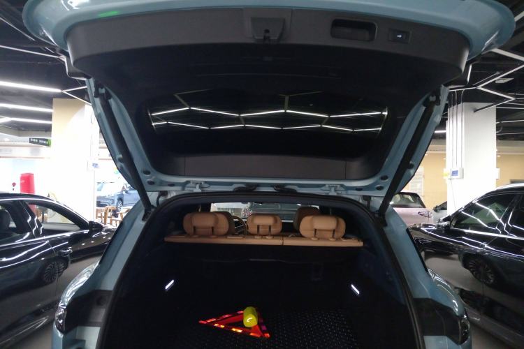 Used VOYAH FREE 2021 Four-Wheel Drive Standard Range-Extended Exclusive Luxury Package
