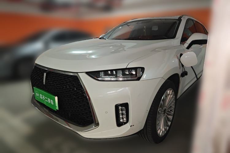 Used Wey P8 2018 2.0T Flagship Model