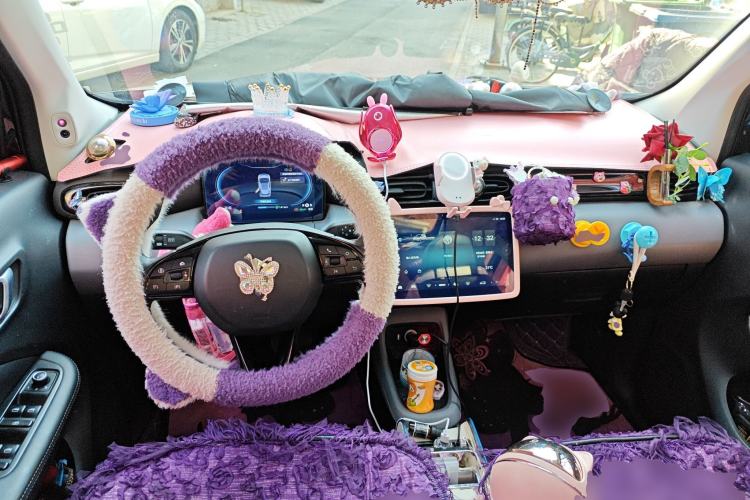 Used Leapmotor T03 2020 400 Luxury Edition