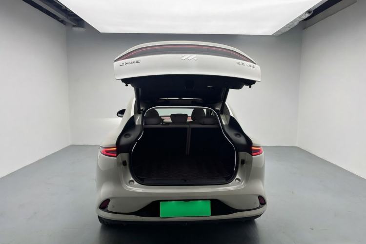 Used IM LS6 2023 Max Standard Edition
