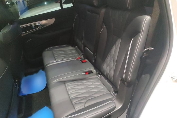 Used GAC Trumpchi GS8 2022 Linghang Series 2.0 TGDI Two-Wheel-Drive Luxury Smart Connectivity Version (7 Seats)