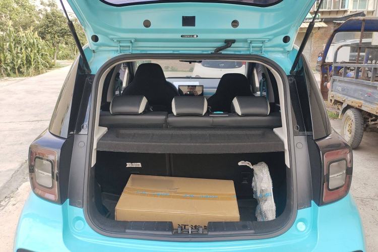 Used SOL E10X 2022 Flower Fairy Design Four-Leaf Clover