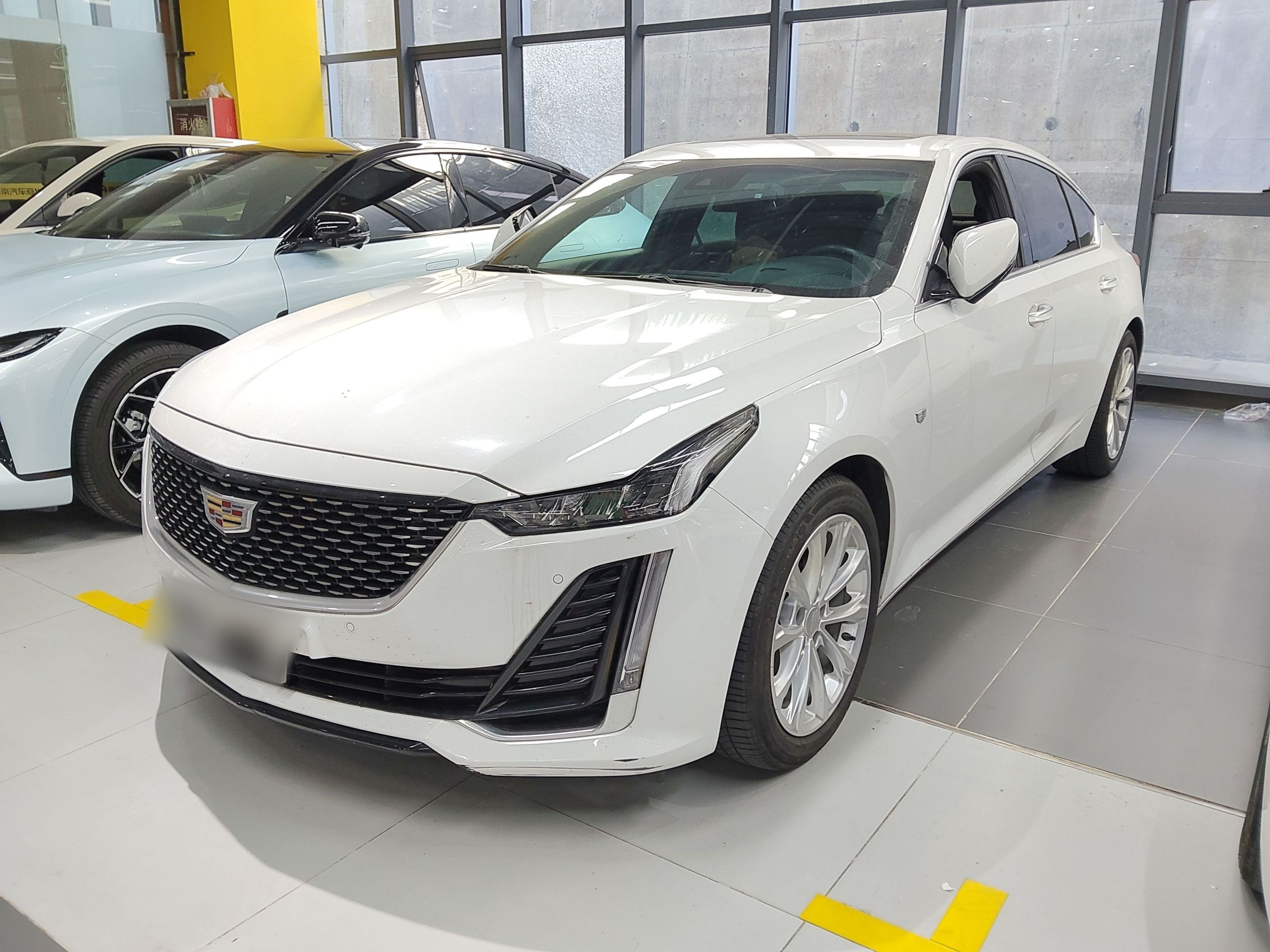 تحت مقدمة السيارة