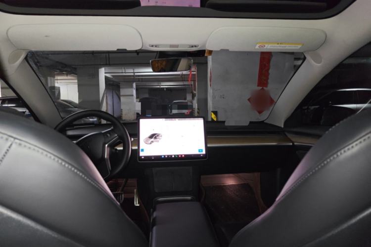 Used Tesla Model 3 2021 Performance High-Performance All-Wheel-Drive Version Headliner