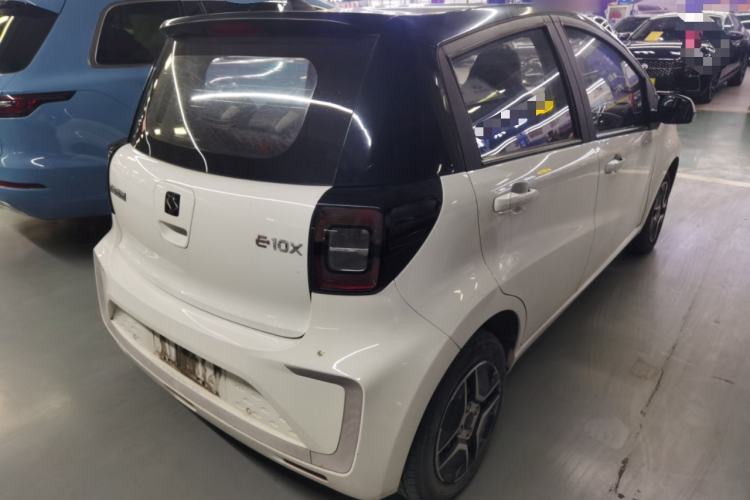 Used SOL E10X 2022 Flower Fairy Design Four-Leaf Clover
