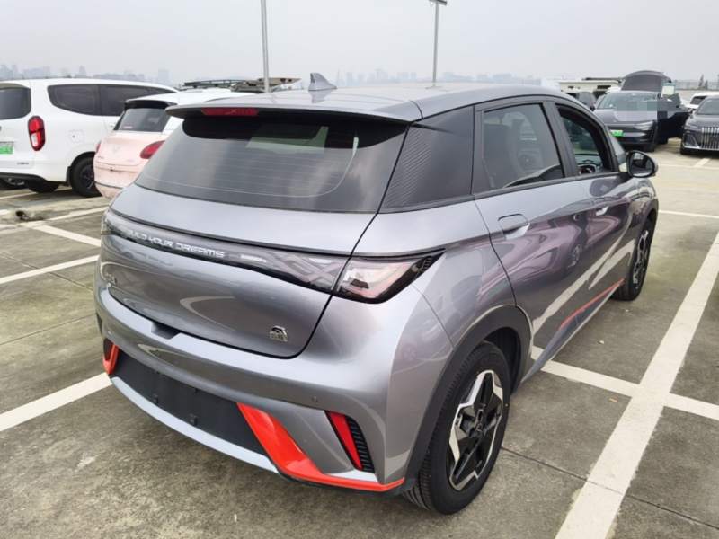 Used BYD Dolphin 2021 405 km Fashion Edition — 6
