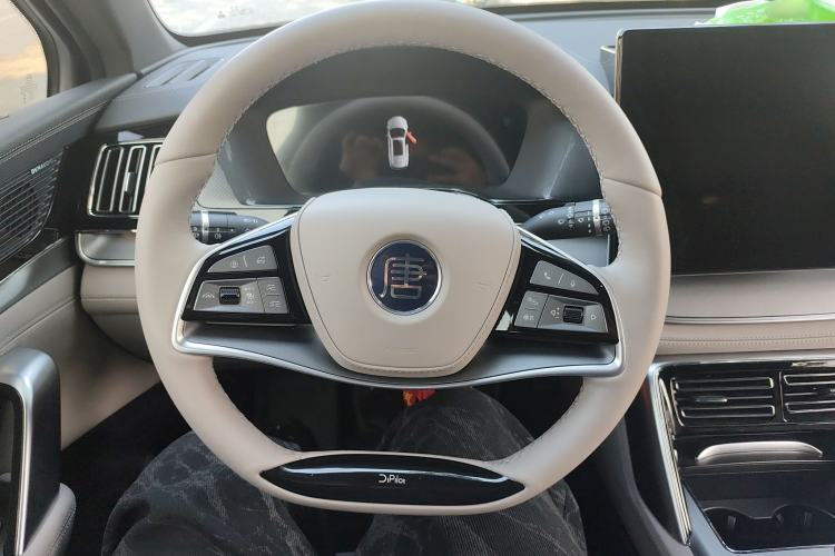 Used BYD Tang New Energy 2025 DM-i 115KM Prestige Model
