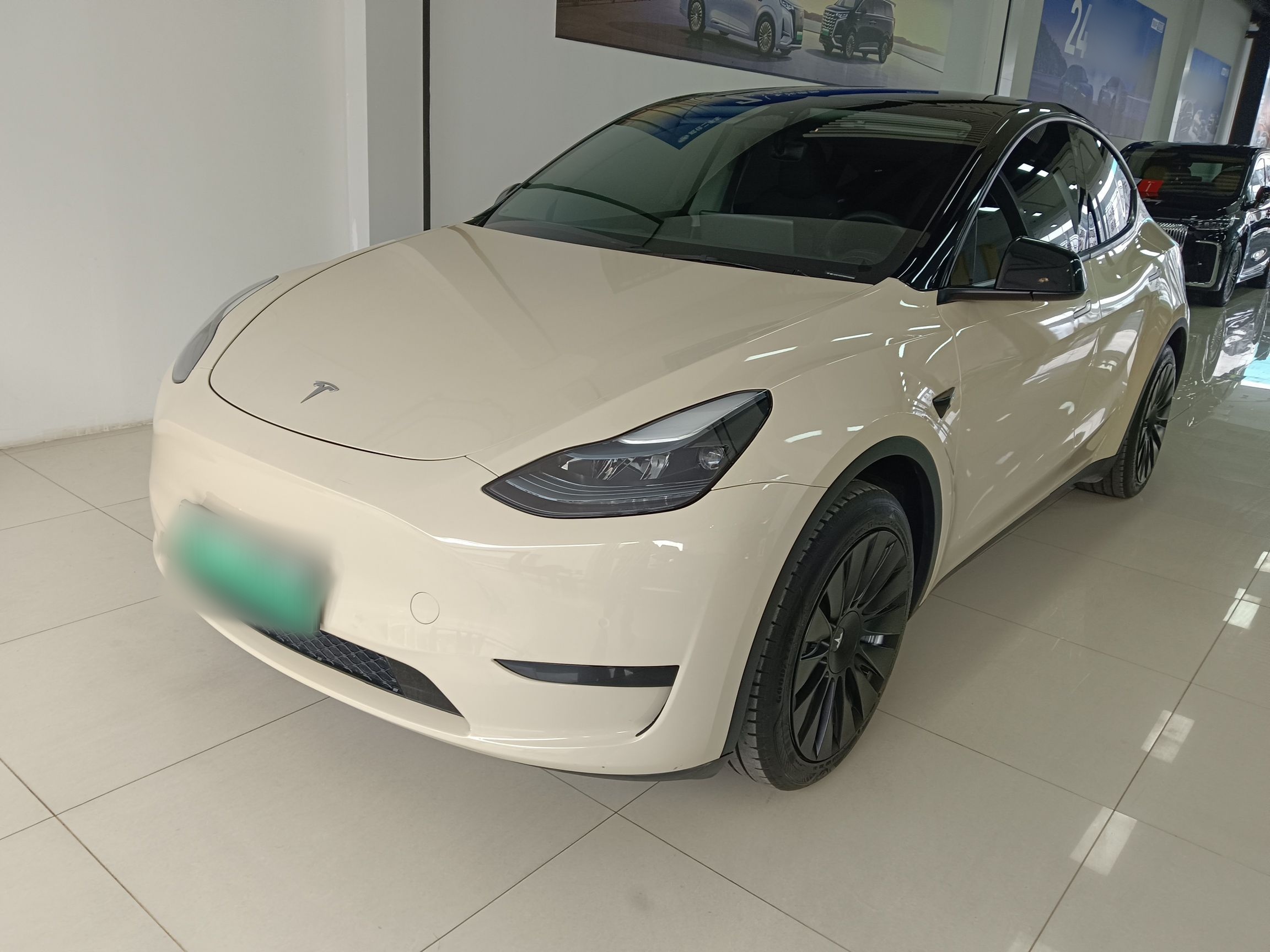 Parte inferior delantera