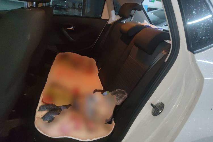 Used Volkswagen Polo 2016 1.6L Automatic Comfort Model Left Rear Seat