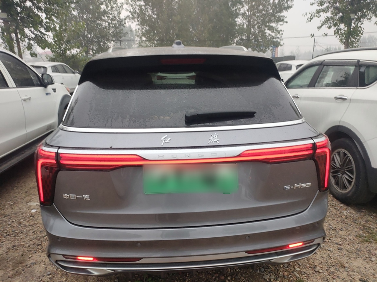 Hongqi E-HS9 2022 690 km Range Flagship Edition Six Seats — снимка 7