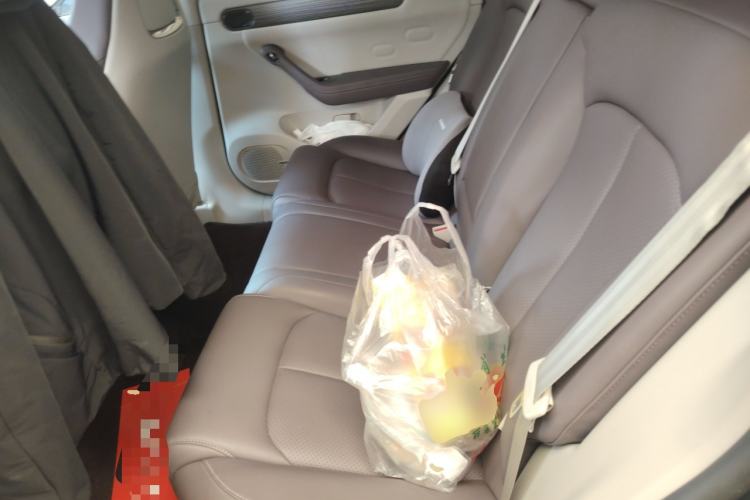 Used Leapmotor C11 2023 Pure Electric 500 Smart Edition