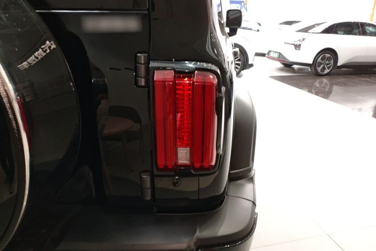 Used Tank 300 2024 2.0T Conqueror
