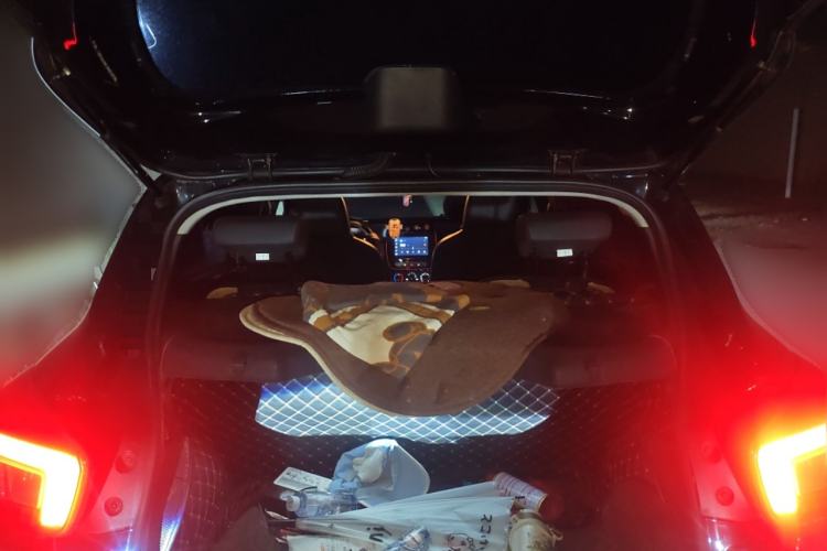 Used Dongfeng NAMMI EX1 2022 PRO Tiger Glory Luxury Model