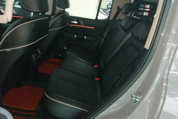 Used Tank 300 2024 2.0T Conqueror
