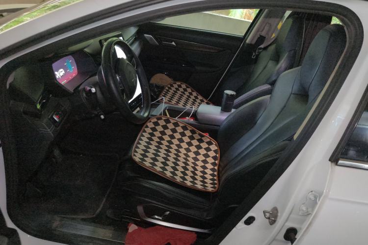 Used XPeng G3 2020 520 Enjoyment Edition Left Front Seat