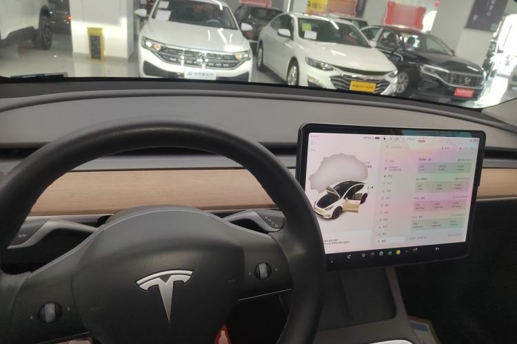 Used Tesla Model Y 2021 Standard Range Rear-Wheel Drive Version