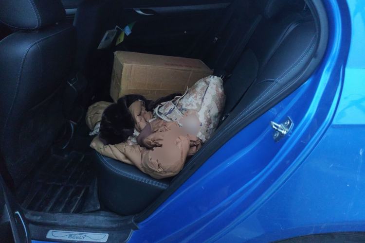 Used Geely Auto Emgrand New Energy 2018 EV450 Prestige Model Left Rear Seat