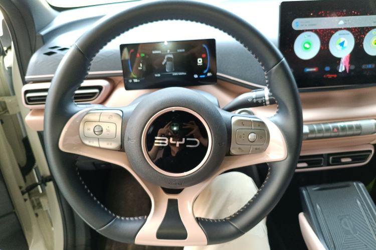 Used BYD Seagull 2024 Honor Edition 305km Freedom Version
