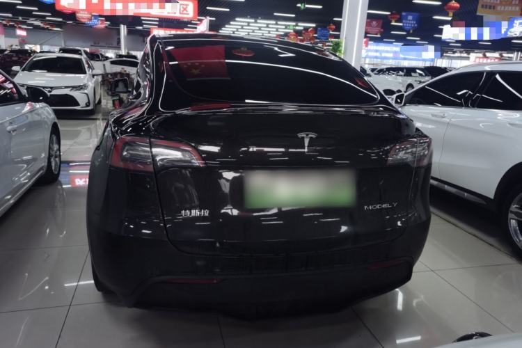 Used Tesla Model Y 2021 Standard Range Rear-Wheel Drive Version
