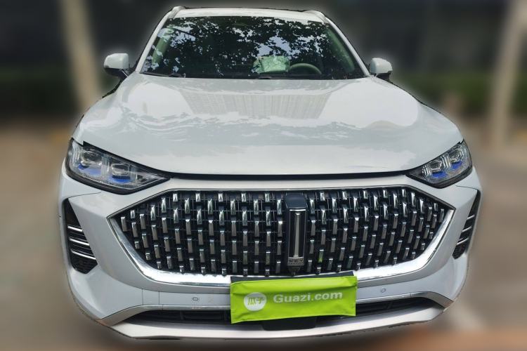 Used Wey Mocha 2021 2.0T Four-Wheel Drive Premium Edition
