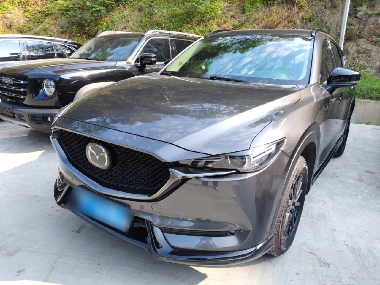 Parte inferior delantera