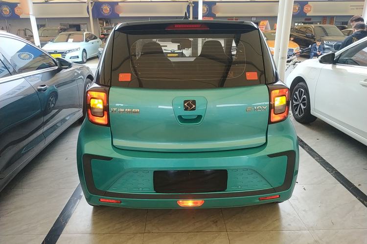 Used SOL E10X 2022 Flower Fairy Style Baby's Breath Rear