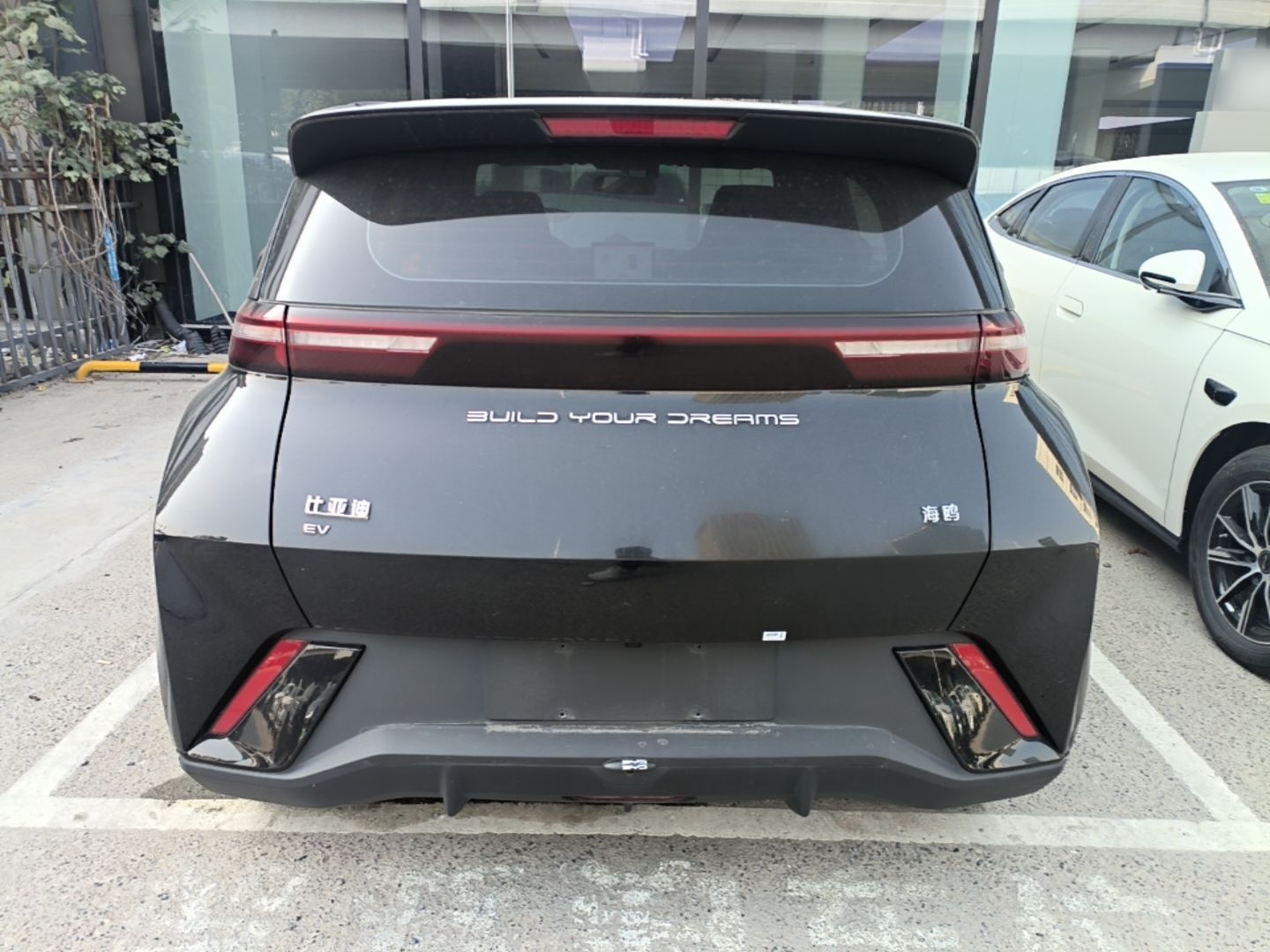 BYD Seagull 2023 Free Edition — снимка 5