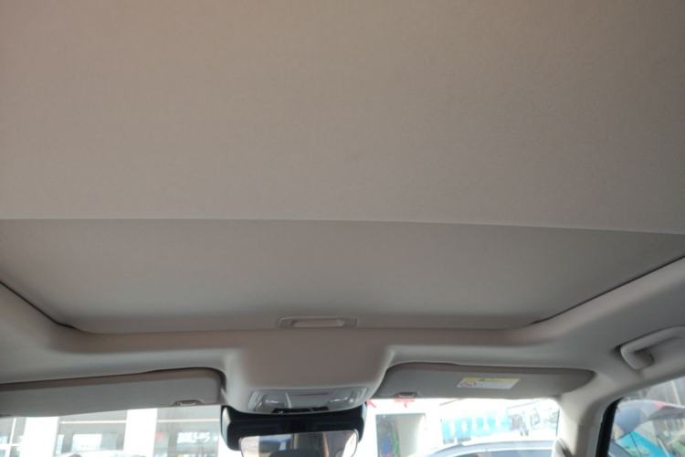 Used Tank 300 2021 Off-Road Edition 2.0T Conqueror Headliner