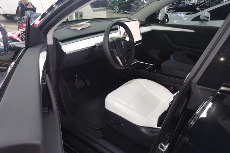 Used Tesla Model Y 2021 Standard Range Rear-Wheel Drive Version
