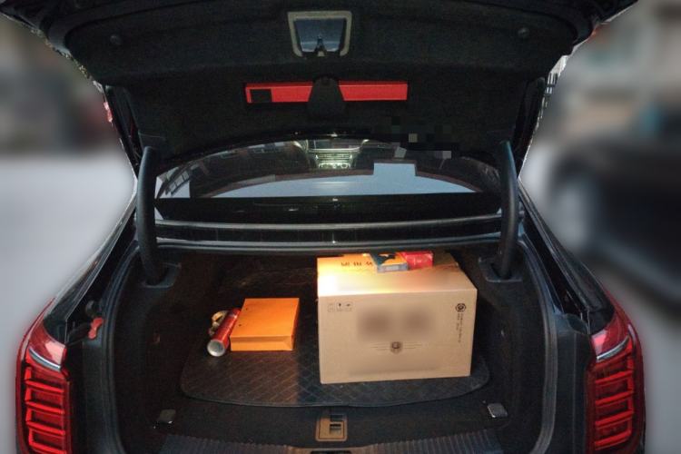 Used Hongqi H9 2020 2.0T Smart Connect Flagship Edition
