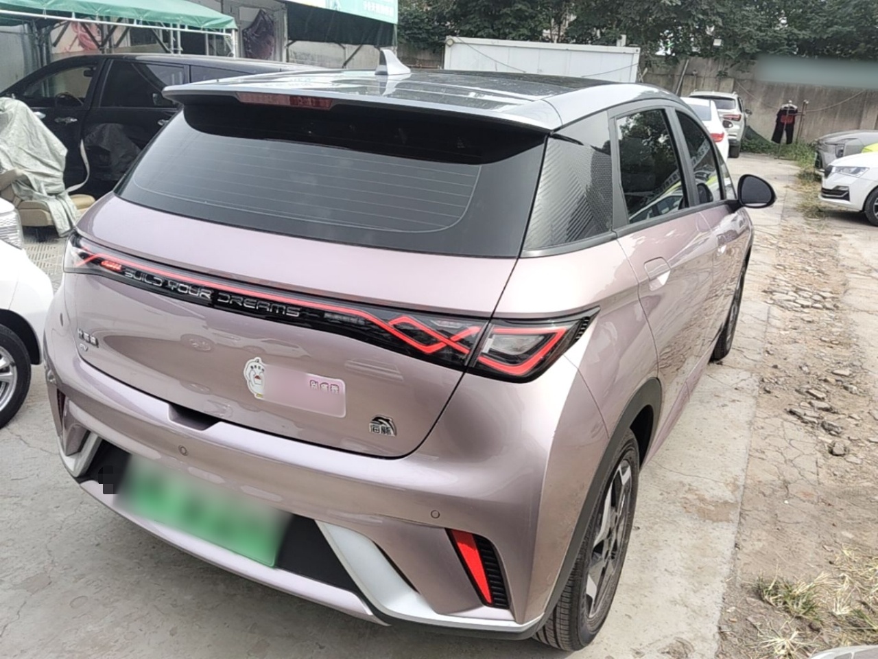 BYD Dolphin 2021 405 km Fashion Edition — снимка 6