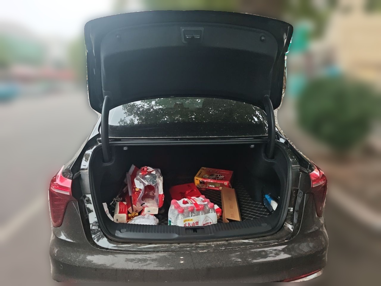 Hongqi H5 2024 2.0T Automatic Smart Connect Flagship Edition - Chinese Trim Chang — снимка 19