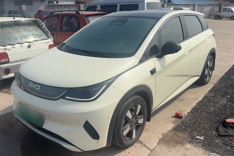 Used BYD Dolphin 2025 Intelligent Driving Version 410 km Fashion Edition