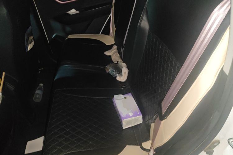 Used SOL E10X 2022 Flower Fairy Design Sunflower
