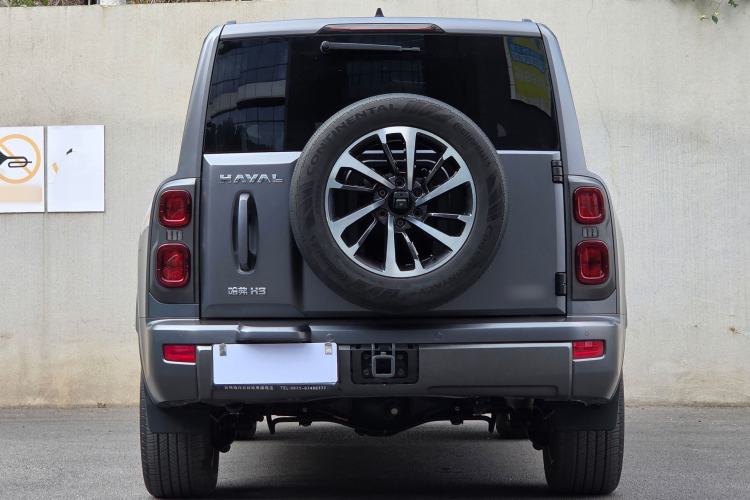 Used Haval H9 2024 2.0T Gasoline All-Wheel-Drive Extreme Edition
