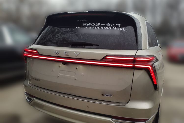 Used Wey Lanshan 2023 Four-Wheel Drive Ultra-Long Range Version Rear