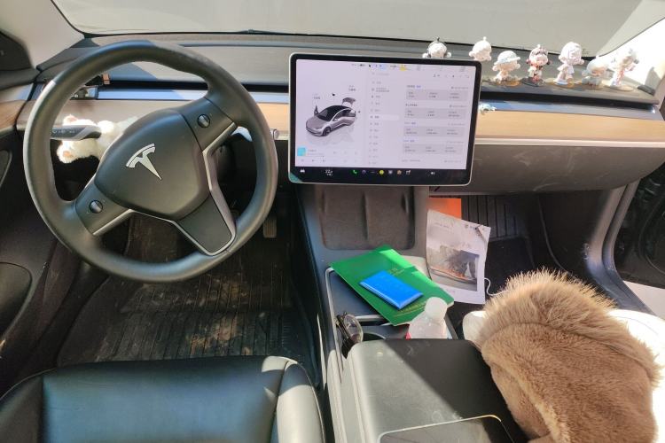 Used Tesla Model 3 2022 Rear-Wheel-Drive Version