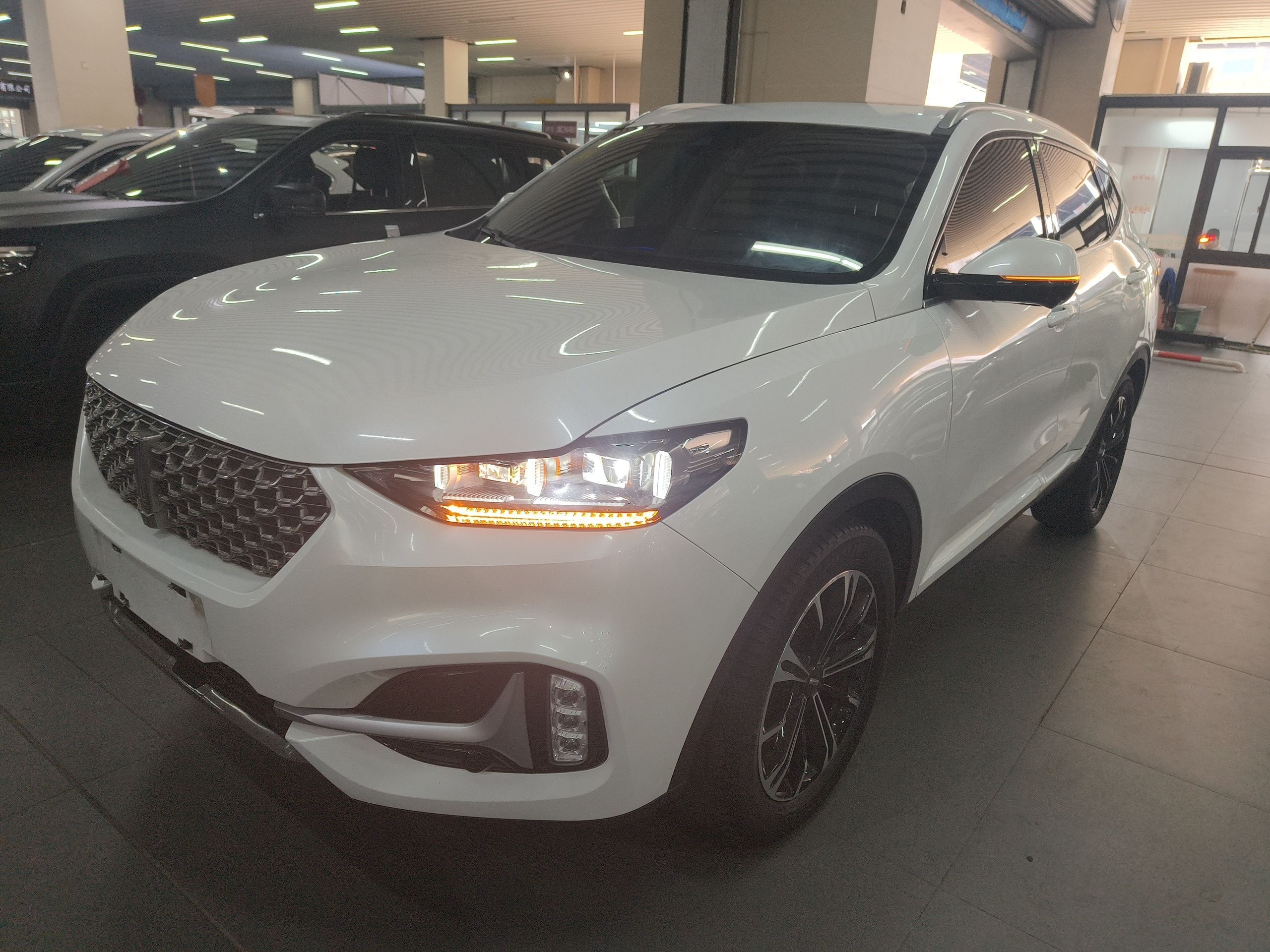 Parte inferior delantera