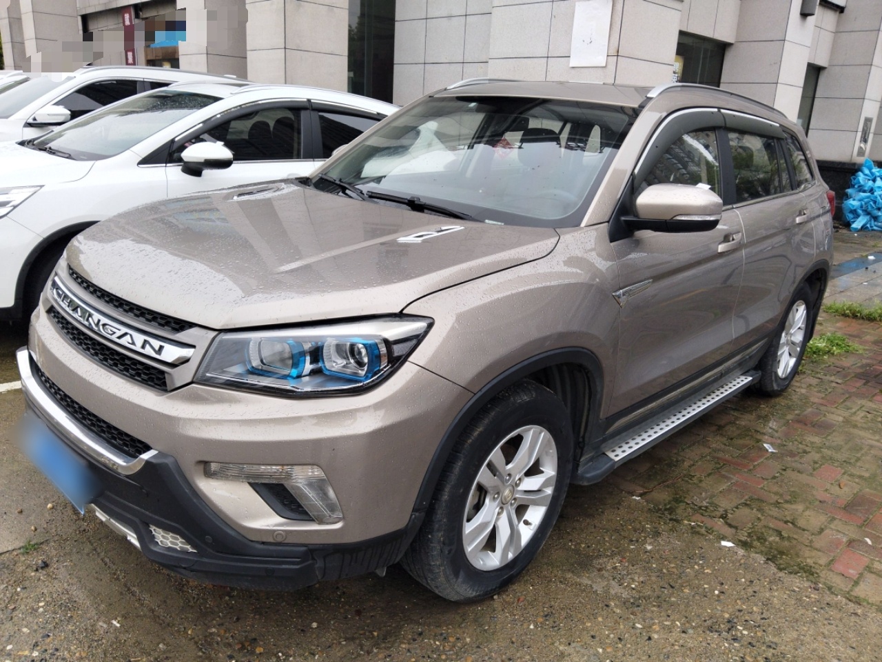 Parte inferior delantera