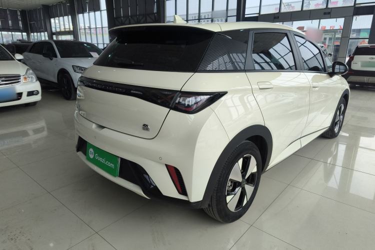 Used BYD Dolphin 2023 420 km Fashion Edition