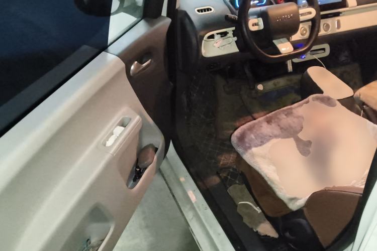 Used Qiyuan Lumin 2023 205km Xiangqin Version