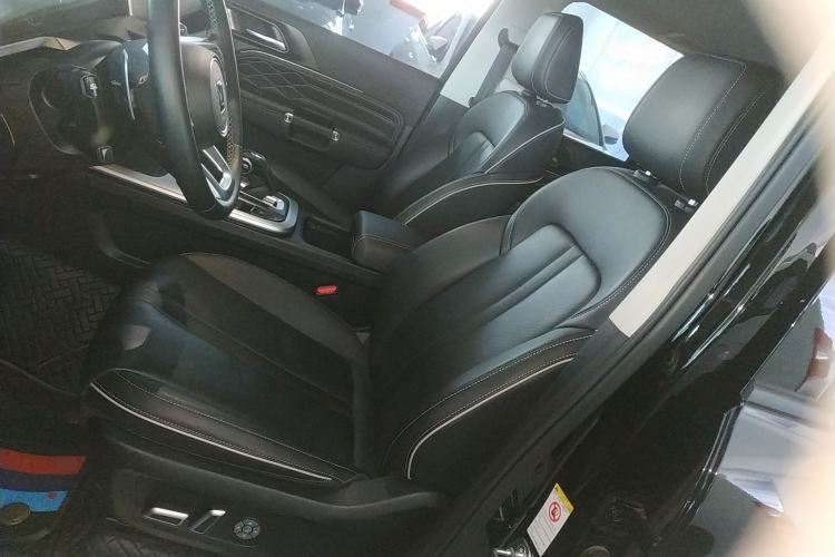 Used Tank 300 2024 2.0T Conqueror