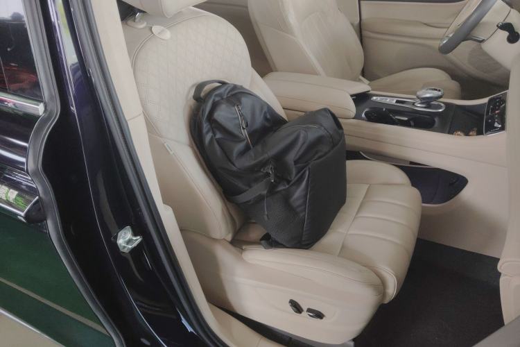 Used VOYAH Dream 2022 Low-Carbon Edition Home